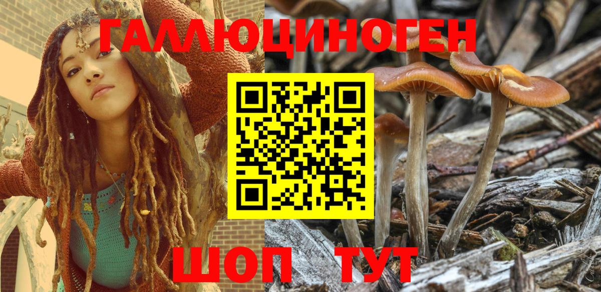Псилоцибиновые грибы мухоморы Реутов