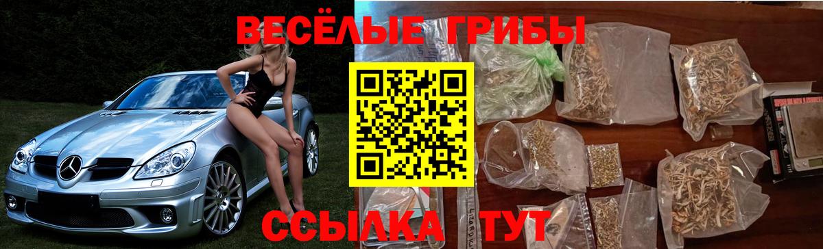 Реутов  купить закладку  Вход с VPN  Псилоцибиновые грибы Magic Shrooms 